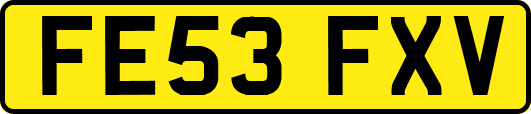 FE53FXV
