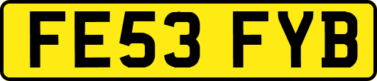 FE53FYB