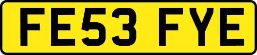 FE53FYE