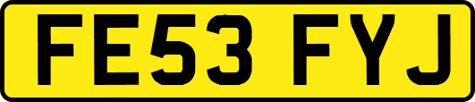 FE53FYJ
