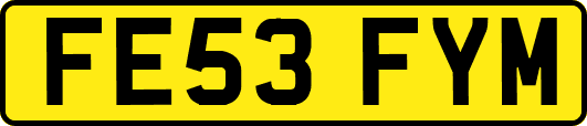FE53FYM