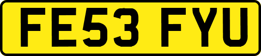 FE53FYU