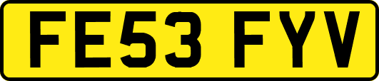 FE53FYV