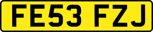 FE53FZJ