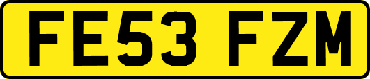 FE53FZM