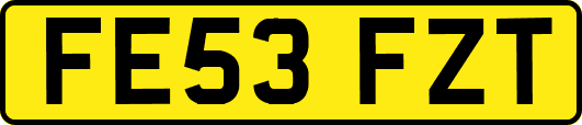 FE53FZT