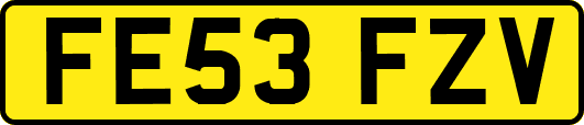 FE53FZV