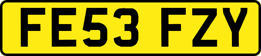 FE53FZY