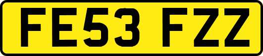 FE53FZZ