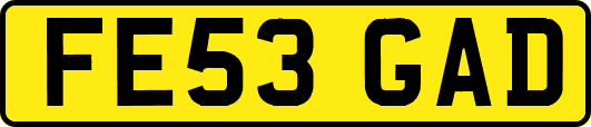 FE53GAD