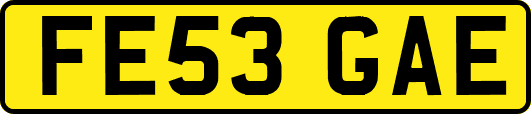 FE53GAE