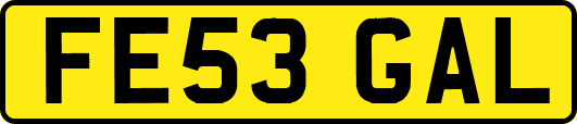 FE53GAL