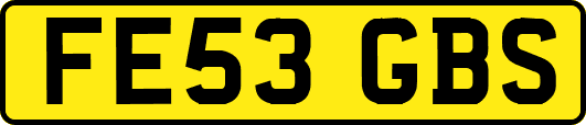 FE53GBS