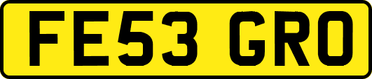 FE53GRO