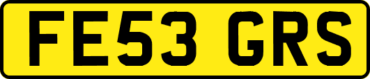 FE53GRS