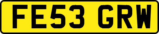 FE53GRW