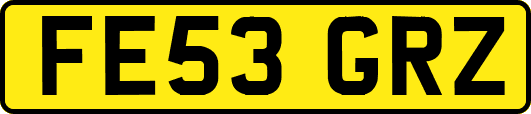 FE53GRZ