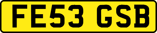 FE53GSB