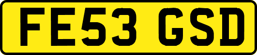 FE53GSD