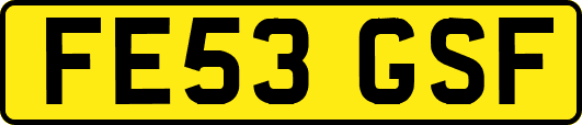 FE53GSF