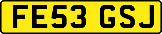 FE53GSJ