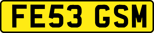 FE53GSM