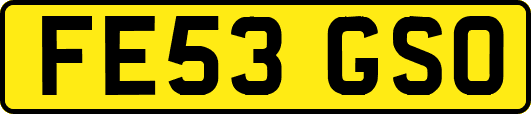 FE53GSO