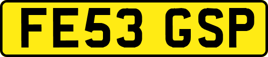FE53GSP