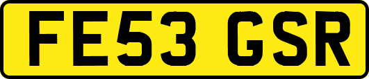 FE53GSR