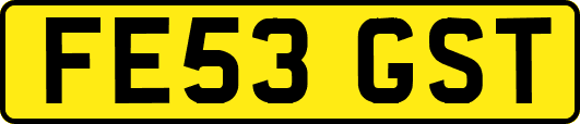FE53GST