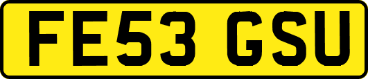 FE53GSU