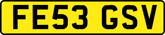 FE53GSV