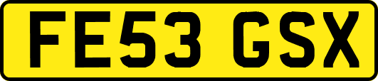 FE53GSX
