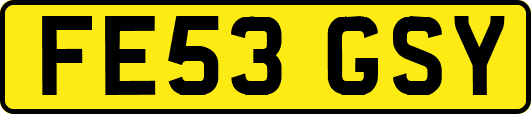 FE53GSY