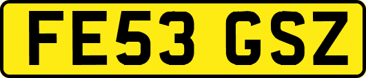 FE53GSZ