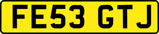 FE53GTJ