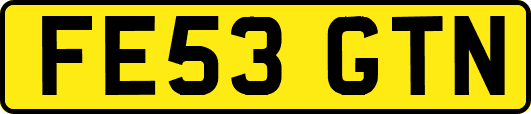 FE53GTN