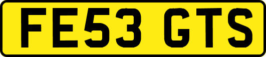 FE53GTS