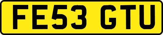 FE53GTU