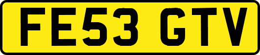 FE53GTV