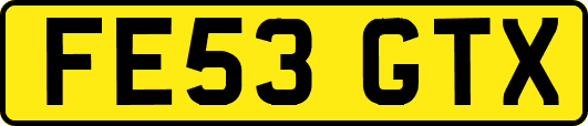 FE53GTX