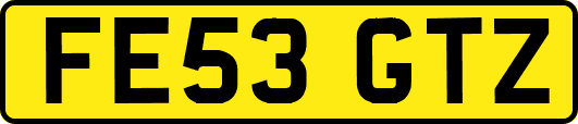 FE53GTZ