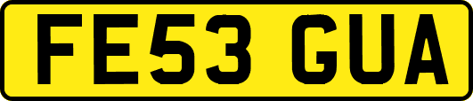 FE53GUA
