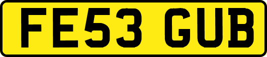 FE53GUB