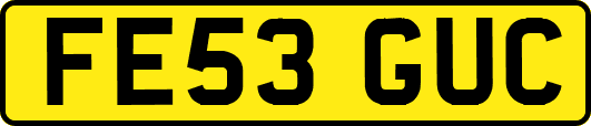 FE53GUC