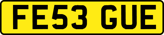 FE53GUE