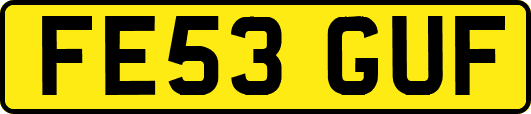FE53GUF