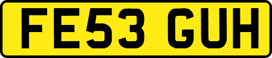 FE53GUH