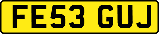 FE53GUJ