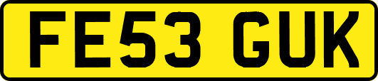 FE53GUK